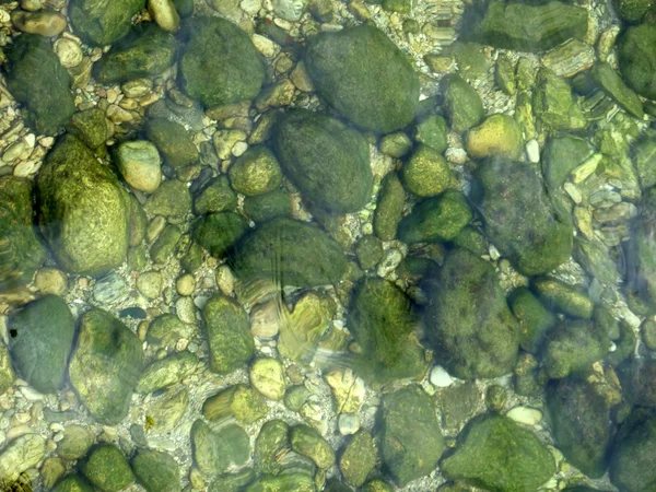 정밀한 gre 적용 물에 돌 — 스톡 사진
