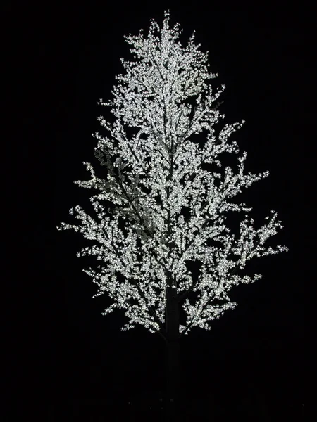 Штучне дерево з білими цибулинами на гілках — стокове фото