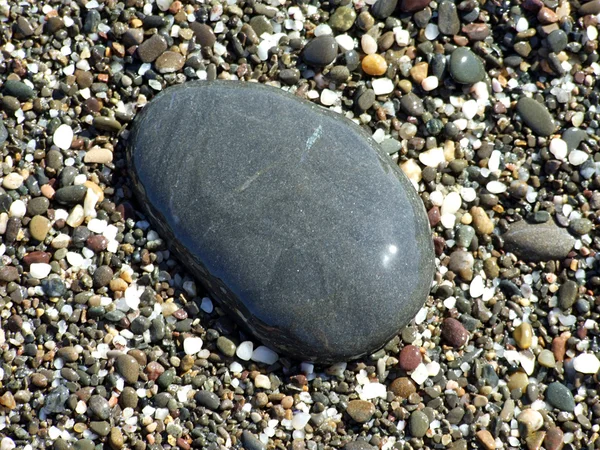 湿黑 se 的海滩上的卵石 — 图库照片