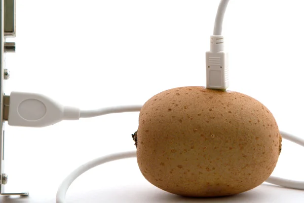 Stock image The kiwifruit connected through usb cabl