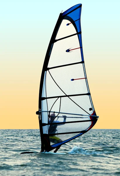 Windsurfer on waves of a sea — Stockfoto