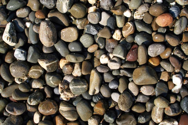 湿的鹅卵石在黑海上的波浪 — 图库照片