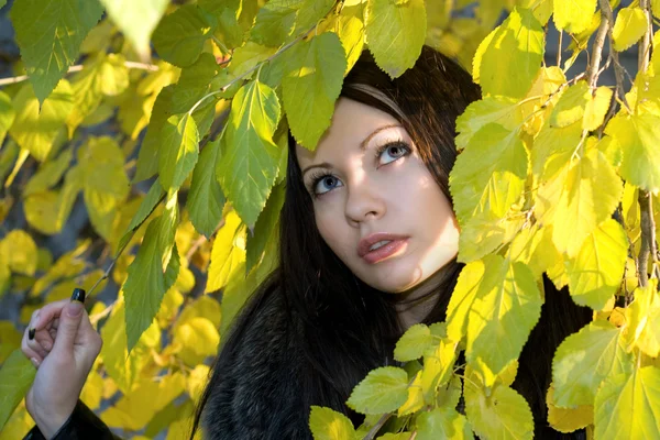 Портрет молодой женщины в листве — стоковое фото