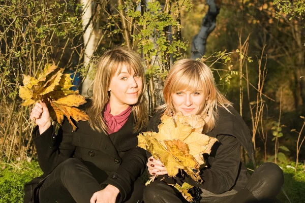 Две молодые женщины с осенними листьями в па — стоковое фото