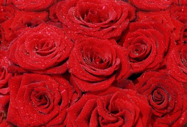 Large bouquet of red roses clipart