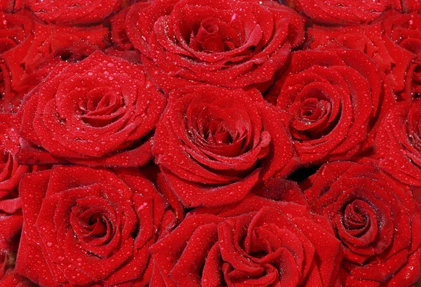 Μεγάλο μπουκέτο με κόκκινα τριαντάφυλλα — Φωτογραφία Αρχείου