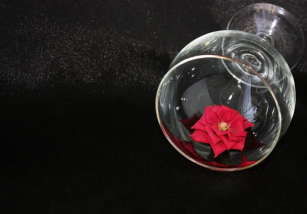 Rosa rossa in vetro su fondo nero — Foto Stock