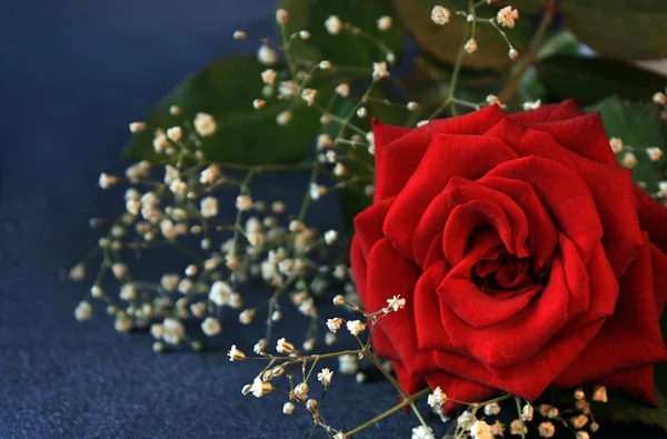 Egy vörös rózsa a díszített fehér flowerets — Stock Fotó