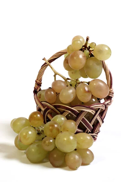 Ripe vine in a basket and next to her. — Stock Photo, Image