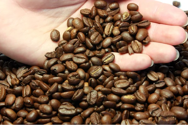 Kávé, egy viszont — Stock Fotó