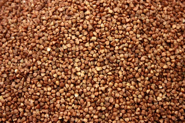 Corns of buckwheat groats. — Stock Photo, Image