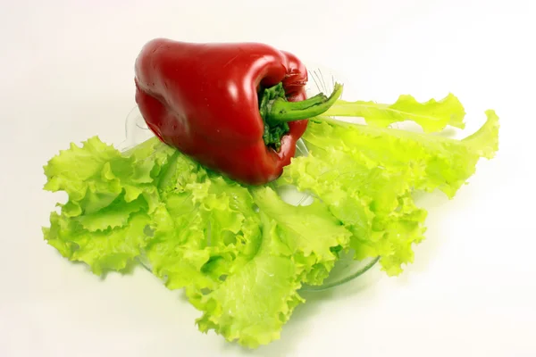 Papriky a listy hlávkového salátu — Stock fotografie