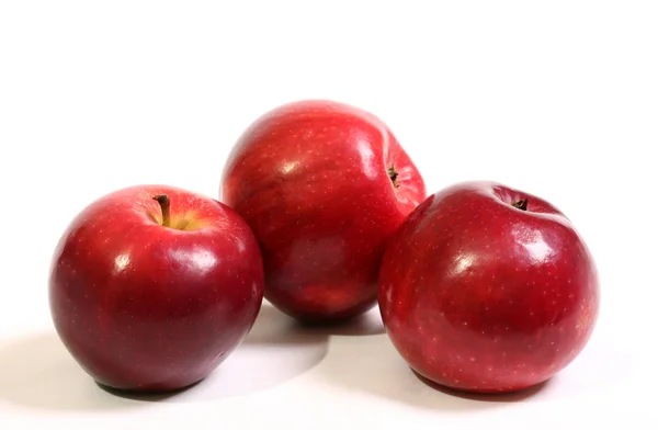 Яблоки на белом фоне. — стоковое фото