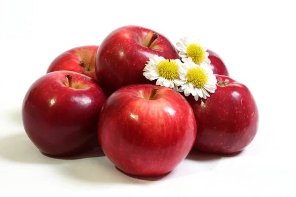 Яблука з квітами ромашки . — стокове фото