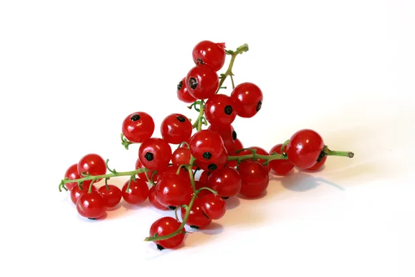 Ribes rosso su fondo bianco — Foto Stock
