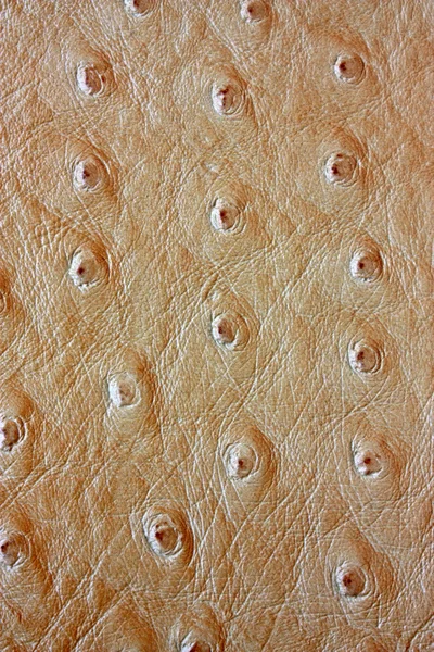 Рельеф текстуры кожи — стоковое фото