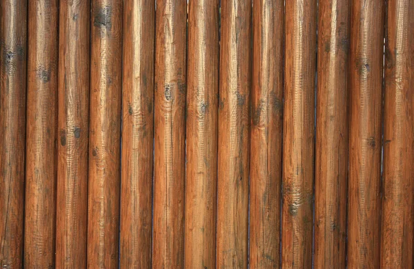 Textur trädlevande staket — Stockfoto