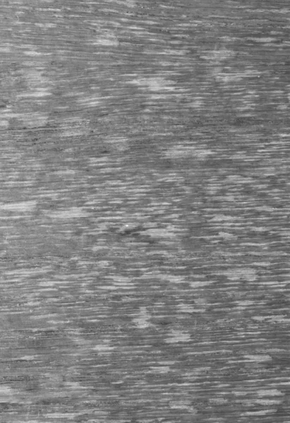 テクスチャは、灰色の木 — ストック写真