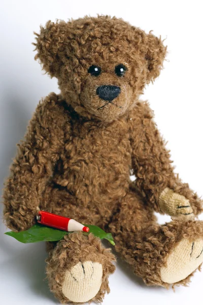 Bear Teddy with a pen and paper. — Stock Photo, Image