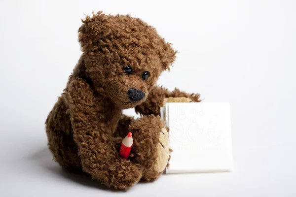 Bear Teddy with a pen and paper. — Stock Photo, Image