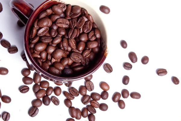 Granos de café en una taza de café . — Foto de Stock