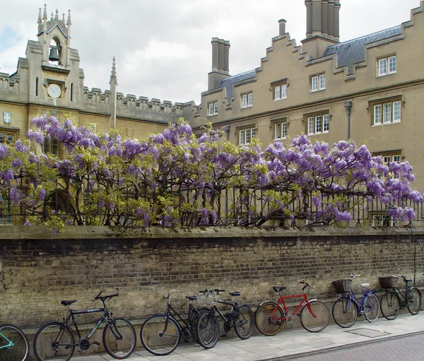 Bicicletas Cambridge —  Fotos de Stock