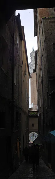 Weg aan het licht. Siena, montalcino, Toscaanse — Stockfoto