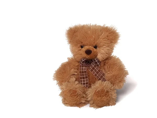 Weicher Teddybär — Stockfoto