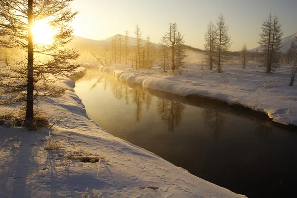 冬景色 ロイヤリティフリーのストック画像