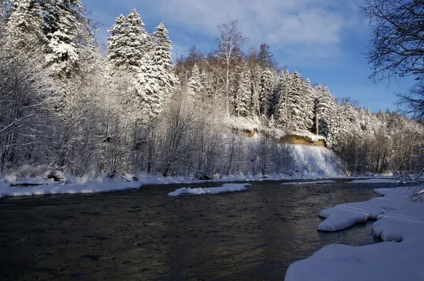 El río de madera en el invierno —  Fotos de Stock