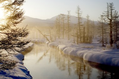 The wood river in the morning clipart