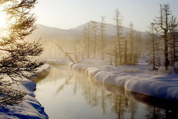 El río de madera por la mañana Imagen de archivo