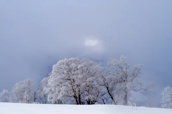 겨울 풍경 스톡 사진