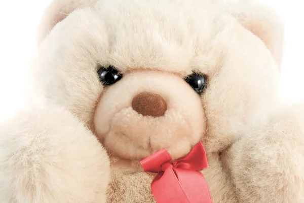 stock image Bear with a bow