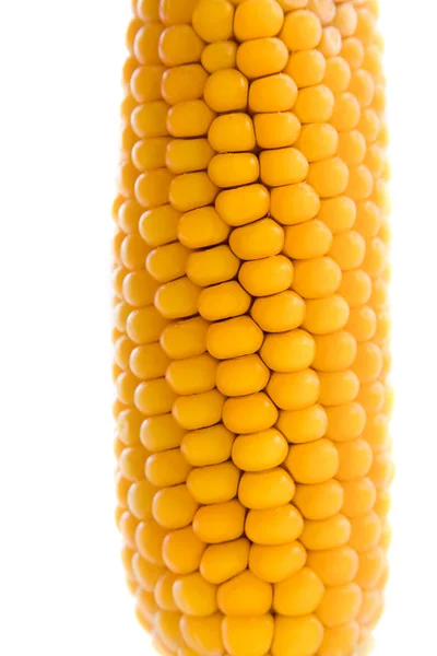 Kukurydziany na białym tle Obraz Stockowy