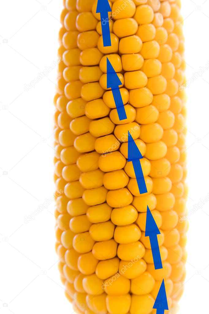Growing corn