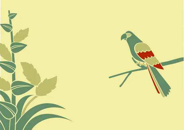 นกแก้ว — ภาพถ่ายสต็อก