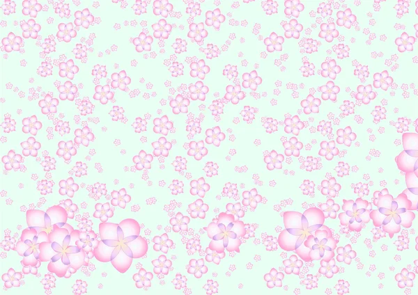 Sakura veldboeket patroon — Stockfoto