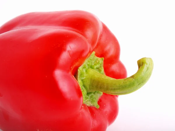 Rød peber på en hvid baggrund - Stock-foto