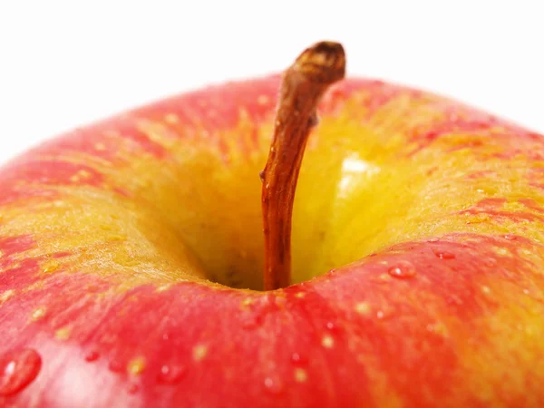 Ripe apple on a white background Stock Image