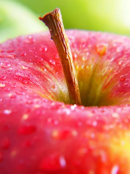 stock image Ripe red apple close up.