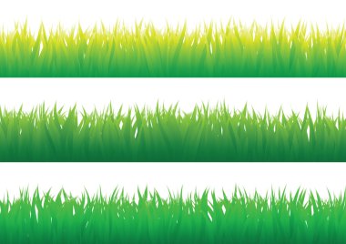 Grass_example clipart