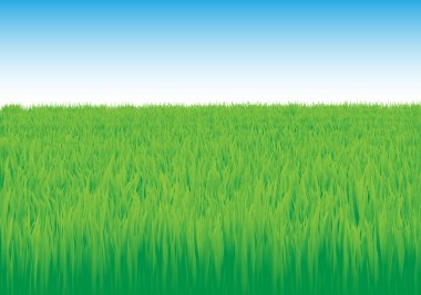 Grass_field clipart