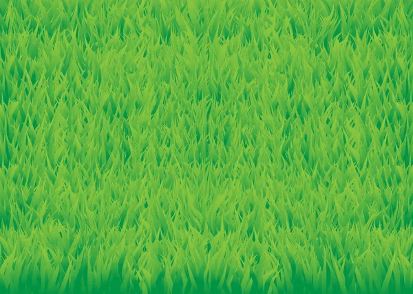 Green_grass_horisontal — Wektor stockowy