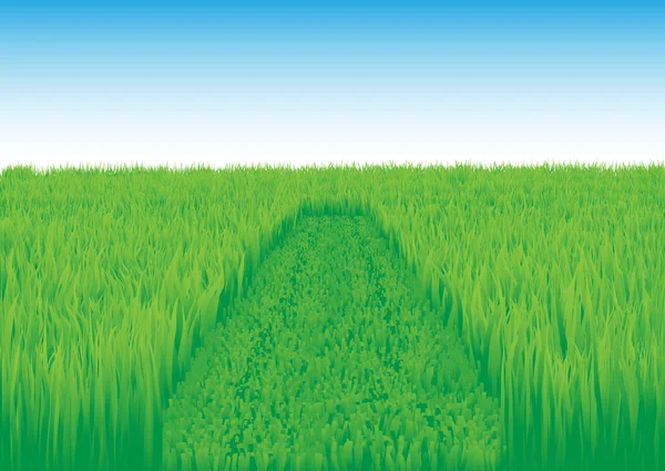 Oblique_grass_field — 图库矢量图片
