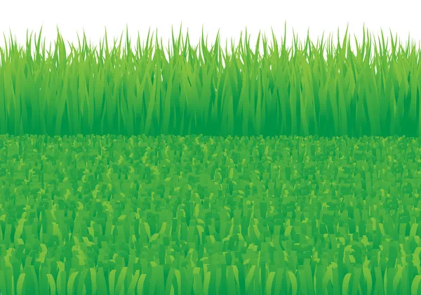 Overgrown_and_oblique_grass — 图库矢量图片
