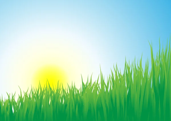 Sunrise _ and _ grass — Image vectorielle