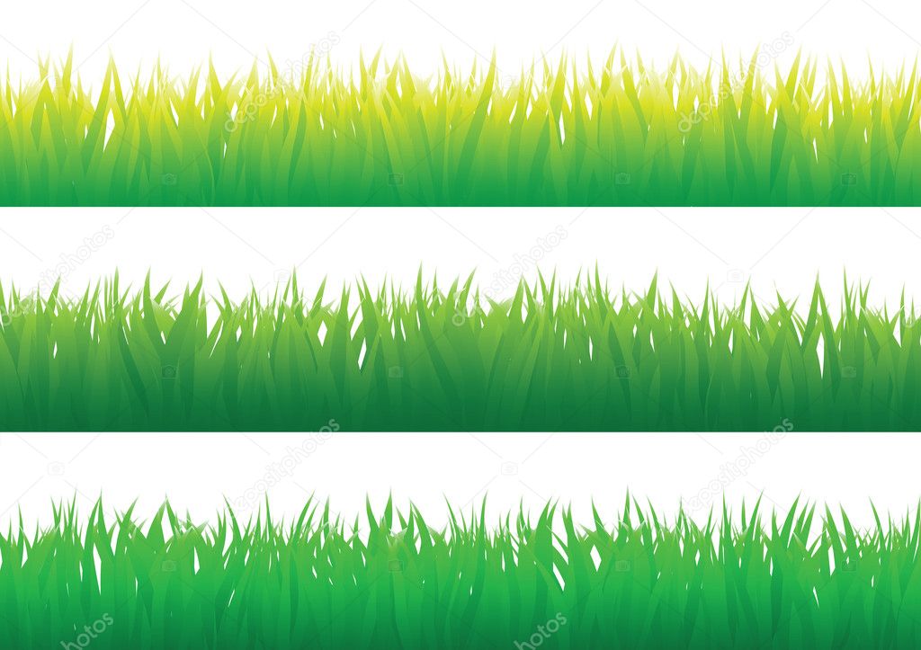 Grass_example