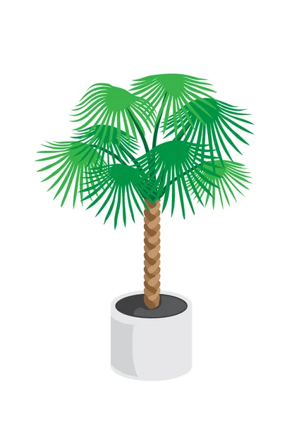 Palm_tree — Stok Vektör