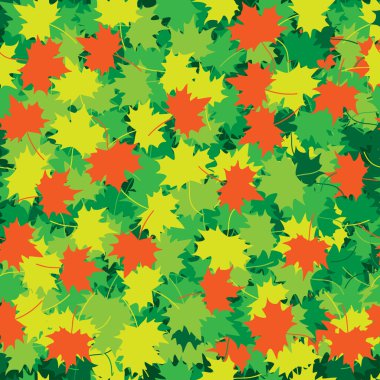 Maple_leaves